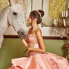 Коралловые классные бисеры с бисером плюс размером с шариковые платья Quinceanera платья в результате шеи на шее приспособлено сладкое 16 платья атласная ловкая поезда Sequined fo1123828