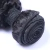 Brezilyalı Afro Kinky Kıvırcık İnsan Saç Dokumaları Uzantıları Kapatma Ücretsiz Orta 3 Parça Çift Stef Boyan Boyabilen Beachable 100g/PC DHL