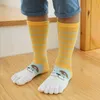 Children Kids Girls Toe Socks Cute Cartoon Cotton Baby Girl Socks Boy Toddler Warm Autumn Spring Five Finger Sock 2-12Y G1224