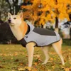 Abbigliamento antipacata impermeabile impermeabile pioggia impermeabile a pioggia impermeabile Cape Abbigliamento per animali domestici per cani grossi Giacca con cappuccio Poncho Pet Rain Coat S-7XL 201114