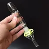 Fast Delivery! Mini Nectar Collector Glass Pipes with 10mm 14mm 18mm Titanium Tip Quartz Tip Oil Rig Concentrate Dab Straw for Glass Bong