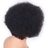 Brasiliano Pixie Breve Afro Crespo Riccio Anteriore Del Merletto Parrucche Dei Capelli Umani Per Le Donne Nere Colore Naturale Remy Parrucca Pre Colto