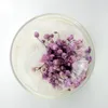 Schleierkrautblüten in Glaskuppel, getrocknetes Schleierkraut, konservierte ewige Blume zum Geburtstag, Valentinstag, Geschenk, 9 Farben