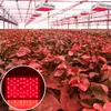 600W Dual Chips 380-730nm Full Light Spectrum LED Plant Growth Lamp White premium material Grow Lights