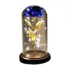 2021 Led Enchanted Galaxy Rose Eternal Foil Flower With Fairy String Lights In Dome For Christmas Valentine's Day Gift Navidad