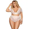 Ohyeahlover Frauen 5XL Unterwäsche Dessous Set Plus Größe Spitze Lenceria Durchsichtig Ropa Interior Strand Sexy BH Höschen Set RL80760 LJ201031