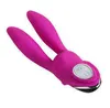 NXY Vibrators Wholesale Rabbit Vibrator Waterproof g Spot Pussy Vaginal Vibrating Women Double End Dildos 0104