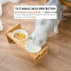 Animali domestici Doppie ciotole Cane Cibo per gatti Mangiatoia per acqua Piatto in ceramica Cremagliera di bambù Gatti Piatti per l'alimentazione Cani Bevono Forniture per animali Y200917