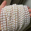 Chains Freshwater Pearl Necklace Round Shape With Size 7-8mm Perfect Luster For Jewelry DIY Loose Strands1