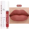 Wholesale Lips Makeup Lipstick Lip Gloss Long Lasting Moisture Cosmetic Lip Stick Sexy Red Matte Waterproof