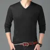 Winter Autumn Casual Knit Sweater Men V Neck Slim Thin Pullover Men Long Sleeved Knitwear Man High Quality