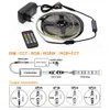 LED Strip RGB / RGBW / RGB + CCT / Double White LED ضوء مرن 5050 5M 300 LEDS + RF التحكم عن بعد + DC12V محول الطاقة