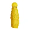 Mini Pocket Umbrella Foldable Windproof Rainy Sunny Umbrella Small Capsule Sunscreen Anti UV Rainproof Umbrella DDA811