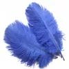 10pcs / Lot Plumes d'autruche naturelles 15cm-20cm Fête de Noël Decroation Fête d'anniversaire de mariage Décoration colorée Fournitures Y201020