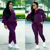 Vrouwen joggenpak herfst winter tracksuits hoodies+broek vaste kleur tweedelige set casual plus size 3xl outfits lange mouwen zweetpakken 4241