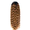 Well Balayage ombre Estensione coda di cavallo 1b / 27 Clip in coda di cavallo Coda di cavallo capelli umani Coda di cavallo lunga marrone Evidenziare Coda di cavallo biondo cenere