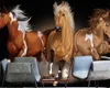 Galloping Horse 3d Wallpaper Galloping Strong Horse Hand-painted Oil Painting Background Wall Painting Animal 3d Wallpaper