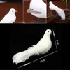 Foam Feathers Artificial Birds 12pcs Suit Gardening Home Decoration White Doves Folder Simulation Pigeon Ornaments 1 55ky G2