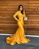 Yellow Lace Mermaid Prom Dresses Sheer Lace V Neck Evening Gowns Formal Party Red Carpet Dresses with Long Sleeves