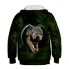 Pojkar coola dinosauri -mönster 3D hoodies höst tonåring barn djur hoodie infantil småbarn pojke flickor kostymer tröja kläder lj201128