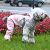 Hoopet Pet Köpek Yağmurluk Giysileri Su Geçirmez Yağmur Tulumları Küçük Köpekler Açık Giyim Ceket Malzemeleri Y200917