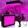 600W 60 * 10W quadrado espectro completo crescer luzes 3030 lâmpada de planta de corredor único controle material premium crescente iluminação blac