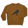 Детские свитера Carlijnq бренд осенний зимний мальчики для девочек для птиц.
