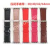 cinturino per orologio di design Cinturini per orologi 41mm 42mm 38mm 40mm 44mm 45mm iwatch 2 3 4 5 cinturini Cinturino in pelle Bracciale Fashion Stripes
