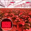 Fast delivery 1500W High intensity LED Dual Chips 380-730nm Full Light Spectrum LED Plant Growth Lamp White Grow Lights