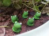 Cartoon Blue Eye Petite Grenouille Ornement Figurine Poupée Enfants Cadeau Mousse Terrarium Micro Paysage Accessoires Fée Jardin DIY Décoration EEF2482