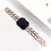 Apple Watch Band Smart Watch do Iwatch 1/2/3/4/5 Bands SmartWatches Strap 38 40 42 44 mm Metal 10 kolorów