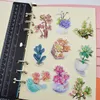 27pcs Pretty Succulente Planten Cactus Sticker Diary Notebook Planner Scrapbooking Hand Book Thin Paper Sticker C01258371163