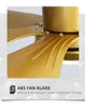 Ceiling Fans 56 Inch Modern LED Gold With Lights Large Amount Of Wind Living Room DC Fan Lamp Remote Control