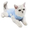 دعوى الانتعاش المهنية القط لجراح البطن أو أمراض الجلد تنفس بعد ارتداء الجراحة للحيوانات الأليفة JK2012XB