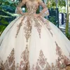 Söta 16 Rosa Princess Quinceanera Klänningar Långa ärmar Tyll Formell festbollklänning för tjejer Vestidos De Anos Robe Ivoire