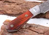 High Quality 7.7 Inch Damascus Fixed Blade Hunting Knife VG10 Damascuss Steel Blades Full Tang Rosewood Handle Straight Knives With Leather Sh