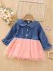 Baby Colorblock Peter Pan Collar Flounce Sleeve Mesh Hem Dress SHE