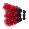 16 18 20 Zoll Synthetische Haarverlängerungen Schussbündel 1B / BUG Afro Kinky Curly Ombre Hair Wefts FLC-002