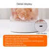 Factory direct colorful led atmosphere night light Bedroom Living Room Crystal Salt Anion Air Purification lamp3671034