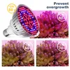 wholesale LED Grow Light Full Spectrum 30W / 50W / 80W E27 Ampoule de croissance LED pour plantes de fleurs hydroponiques d'intérieur Lampe de croissance LED livraison gratuite