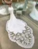 Strand-Brautkleider mit tiefem V-Ausschnitt, Vintage-Meerjungfrauen-Brautkleider, Applikationen, ärmellos, rückenfrei, mit Schärpe aus Chiffon