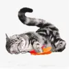 Feather Teaser Cat speelgoed Reticable Wand 5 PCS Assorted Teaser Navuls Interactive Catcher Teaser Toy JK2012XB5280410