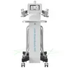 Professional 6D Lipo Laser Slant Machine Loss Weight Cool Tech Cryolipolysis Lazer Machine Price 4 Cooling Plates299