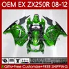 OEM Body for Kawasaki Ninja EX250 ZX250 R EX ZX 250R ZX-250R 2008-2012 81NO.50 EX-250 ZX250R 2008 2009 2010 2011 2012 EX250R 08 09 10 11 12 Injektionsvaror Metallgrön