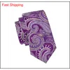 Classic Silk Mens Neckties Purple Tie Sets Paisley Mens Necktiestie Hanky Cufflinks Jacquard Woven Meeting Business Wedding Party 264c