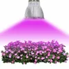 Phyto LampsフルスペクトルE27 LED植物の光を育てる植物の光を成長させるLED植物のためのLED 18W 28W Fitolampyの温室テントの電球UV IR