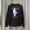 Erkek Kadın Sweatshirts Hoodies Sokak Giyim Kadınlar Uzun Kollu Hoodie Erkek Sweaters Bahar Sonbahar Kış Hip Hop Sokak Giyim HD18