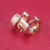 Designer orecchino gioielli moda rosa oro argento amante pietre orecchini a cerchio per le donne signora regalo festa party wedding engagement orecchino polsino
