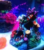 Artificial rium Decoration Coral Reef Cave Fish Tank Hollow Rock House Ornament For Shrimp Hinding Y200917