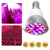 Najlepsze lampy fito Pełna widmo E27 LED roślina Lampka Lampa E14 LED dla roślin 18 W 28W Fitolampy Namiot Greenhouse Bulbs UV Hurtownie